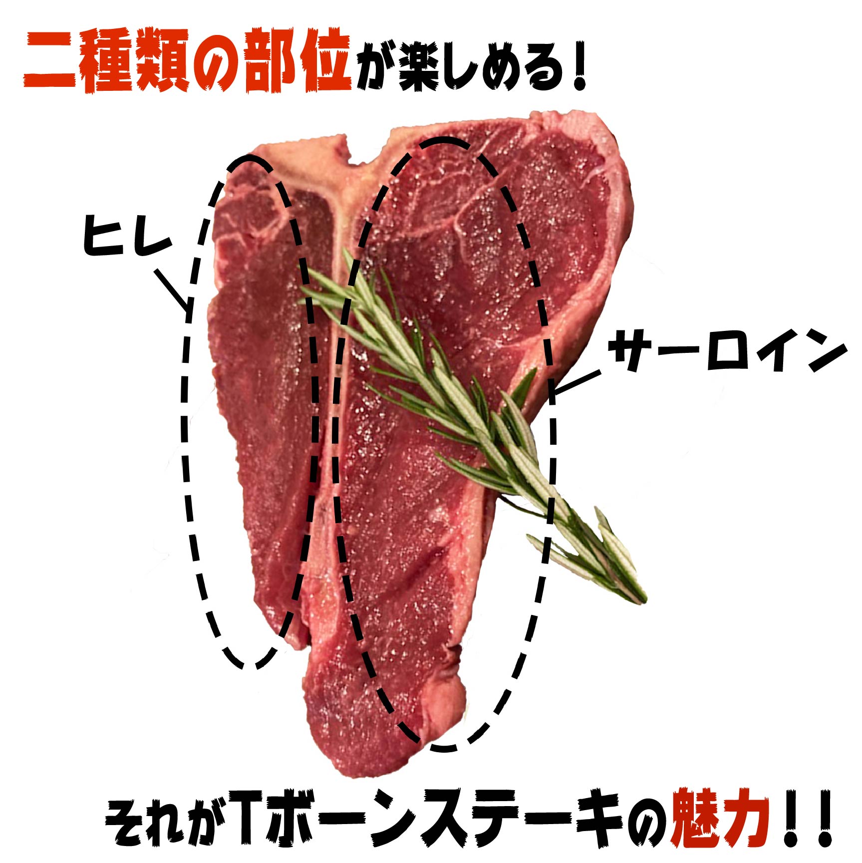 Tボーンステーキ 約400ｇ 約2 3人前 ミートバーベキュー q肉の通販